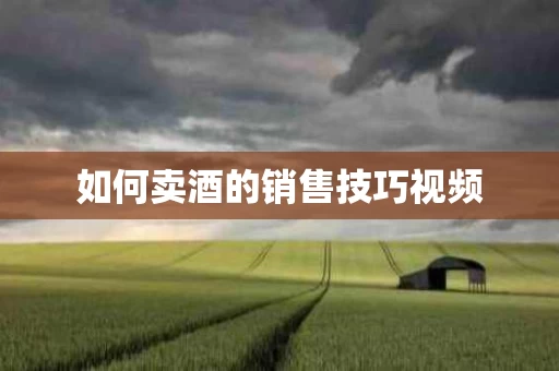 如何卖酒的销售技巧视频