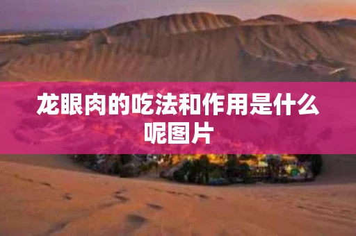 龙眼肉的吃法和作用是什么呢图片