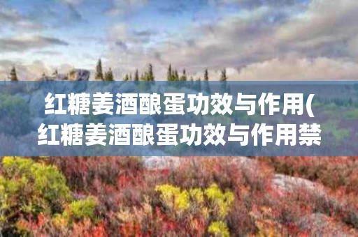 红糖姜酒酿蛋功效与作用(红糖姜酒酿蛋功效与作用禁忌)