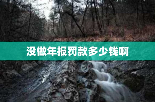 没做年报罚款多少钱啊