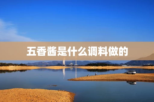 五香酱是什么调料做的
