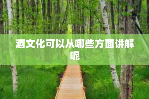 酒文化可以从哪些方面讲解呢