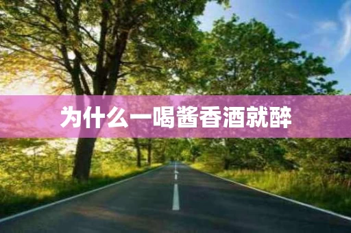 为什么一喝酱香酒就醉
