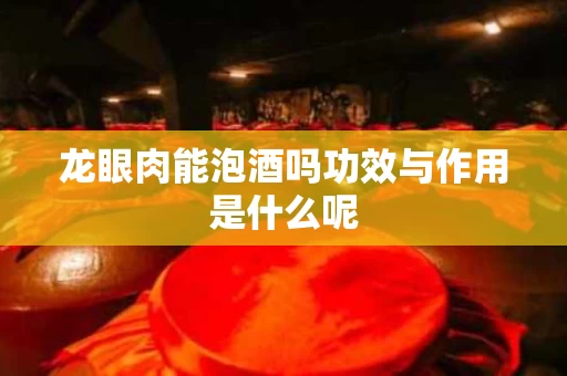 龙眼肉能泡酒吗功效与作用是什么呢