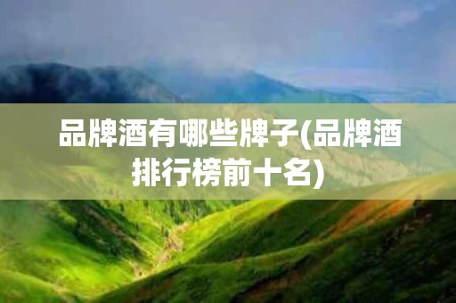 品牌酒有哪些牌子(品牌酒排行榜前十名)