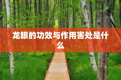 龙眼的功效与作用害处是什么