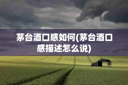 茅台酒口感如何(茅台酒口感描述怎么说)