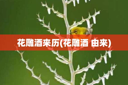 花雕酒来历(花雕酒 由来)
