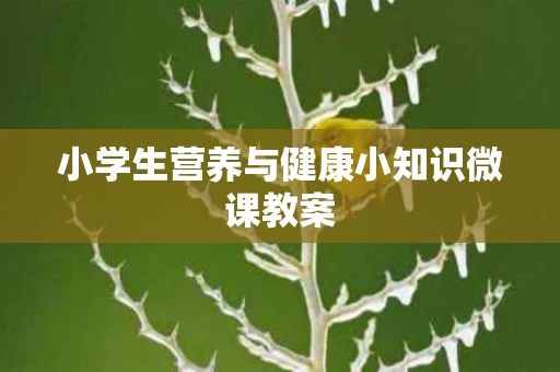 小学生营养与健康小知识微课教案