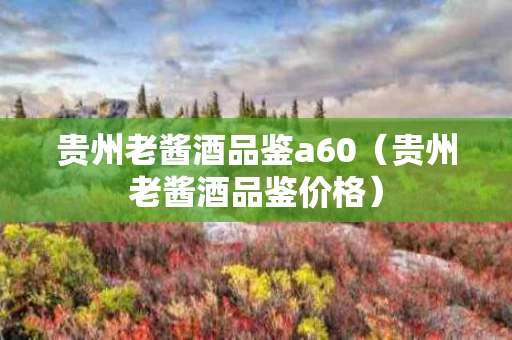 贵州老酱酒品鉴a60（贵州老酱酒品鉴价格）