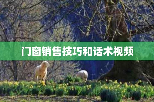 门窗销售技巧和话术视频