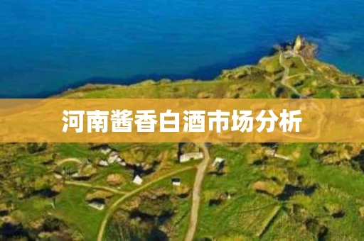 河南酱香白酒市场分析