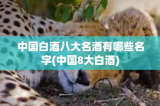 中国白酒八大名酒有哪些名字(中国8大白酒)