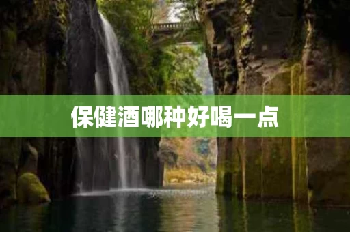 保健酒哪种好喝一点
