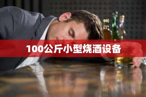 100公斤小型烧酒设备