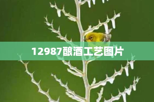 12987酿酒工艺图片