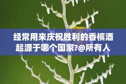 经常用来庆祝胜利的香槟酒起源于哪个国家?@所有人(经常用香槟庆祝胜利的是哪个国家)