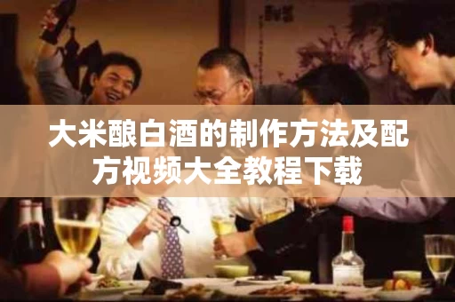 大米酿白酒的制作方法及配方视频大全教程下载
