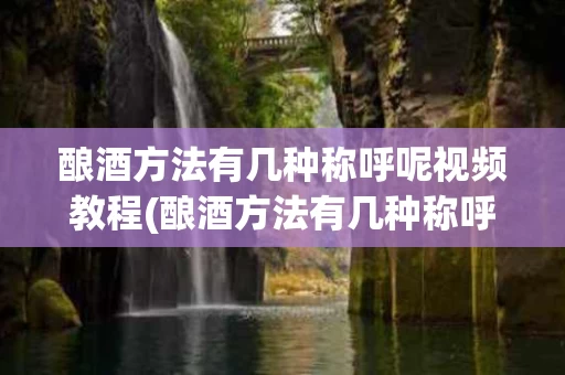 酿酒方法有几种称呼呢视频教程(酿酒方法有几种称呼呢视频教程大全)