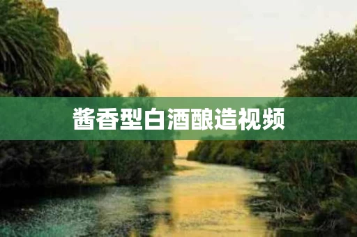 酱香型白酒酿造视频
