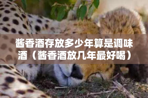 酱香酒存放多少年算是调味酒（酱香酒放几年最好喝）