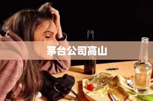 茅台公司高山