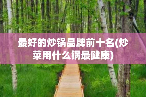 最好的炒锅品牌前十名(炒菜用什么锅最健康)