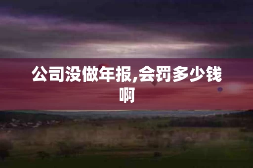 公司没做年报,会罚多少钱啊