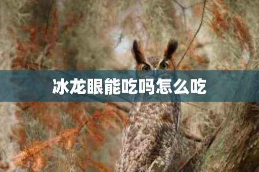 冰龙眼能吃吗怎么吃
