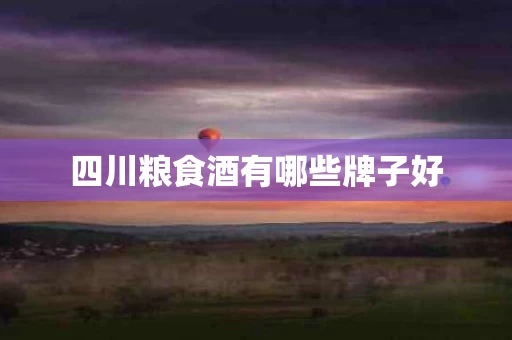 四川粮食酒有哪些牌子好