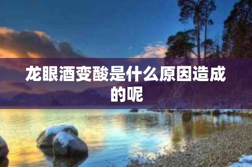 龙眼酒变酸是什么原因造成的呢