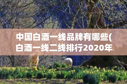 中国白酒一线品牌有哪些(白酒一线二线排行2020年)