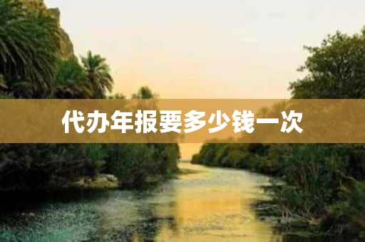 代办年报要多少钱一次