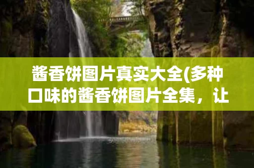 酱香饼图片真实大全(多种口味的酱香饼图片全集，让您大饱口福！)