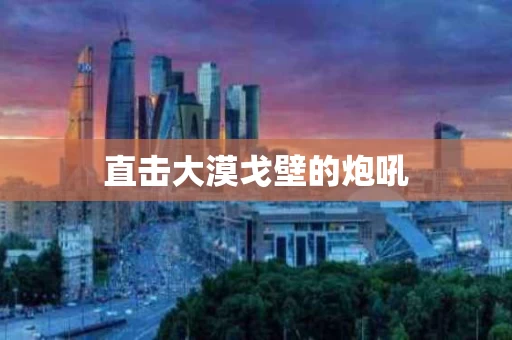 直击大漠戈壁的炮吼