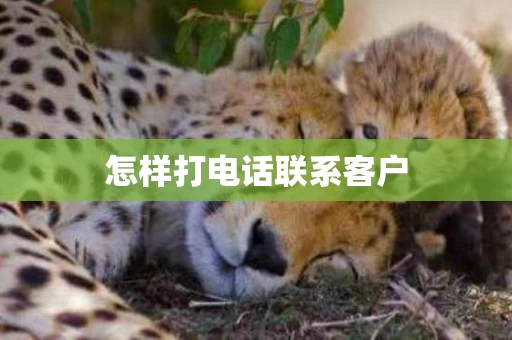怎样打电话联系客户