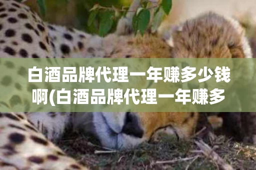 白酒品牌代理一年赚多少钱啊(白酒品牌代理一年赚多少钱啊知乎)