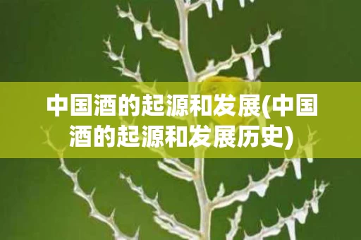 中国酒的起源和发展(中国酒的起源和发展历史)
