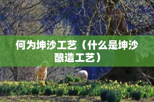 何为坤沙工艺（什么是坤沙酿造工艺）