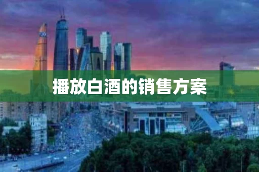 播放白酒的销售方案