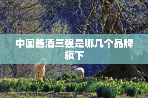 中国酱酒三强是哪几个品牌旗下