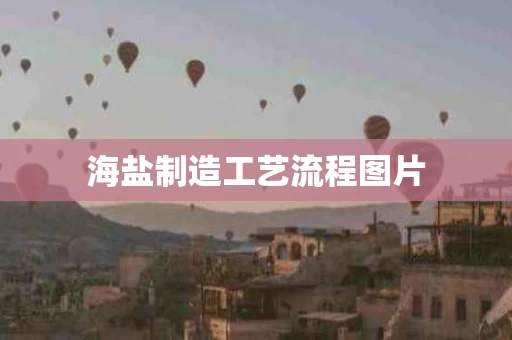 海盐制造工艺流程图片