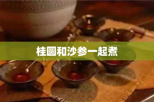 桂圆和沙参一起煮