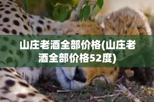山庄老酒全部价格(山庄老酒全部价格52度)