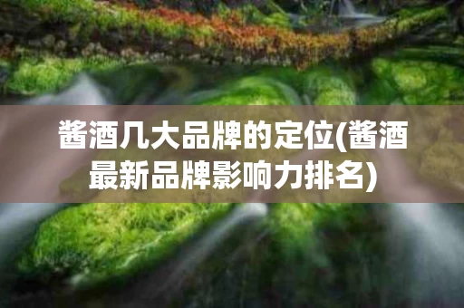 酱酒几大品牌的定位(酱酒最新品牌影响力排名)