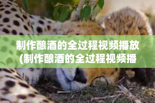 制作酿酒的全过程视频播放(制作酿酒的全过程视频播放下载)