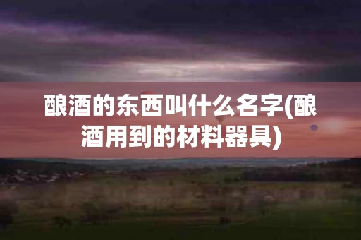 酿酒的东西叫什么名字(酿酒用到的材料器具)