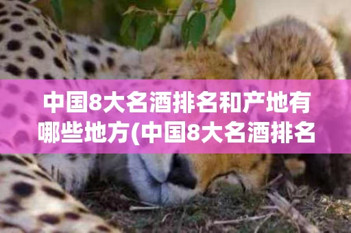 中国8大名酒排名和产地有哪些地方(中国8大名酒排名和产地有哪些地方呢)