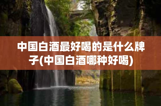 中国白酒最好喝的是什么牌子(中国白酒哪种好喝)