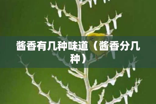 酱香有几种味道（酱香分几种）
